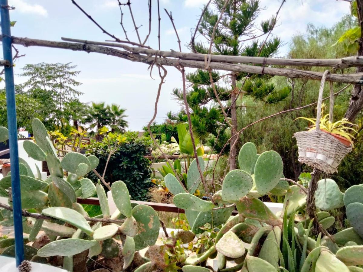 Casa De Campo Lomo Del Balo 吉亚德索拉 外观 照片